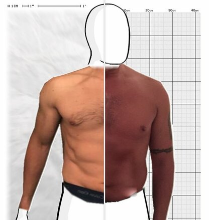 Torso Comparison