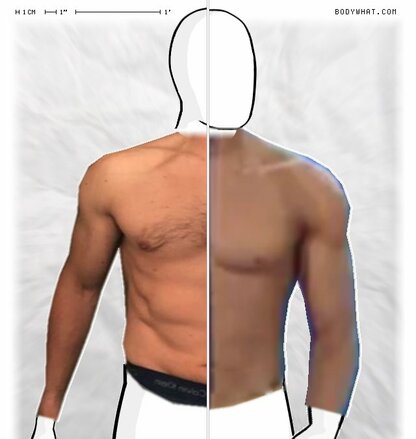 Torso Comparison