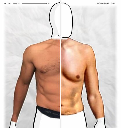 Torso Comparison