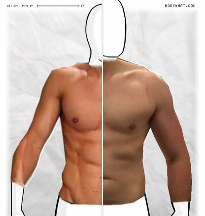 Torso Comparison