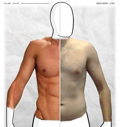 Torso Comparison