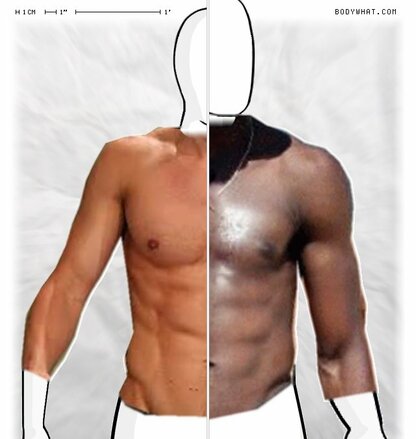 Torso Comparison