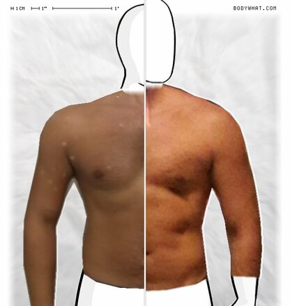 Torso Comparison