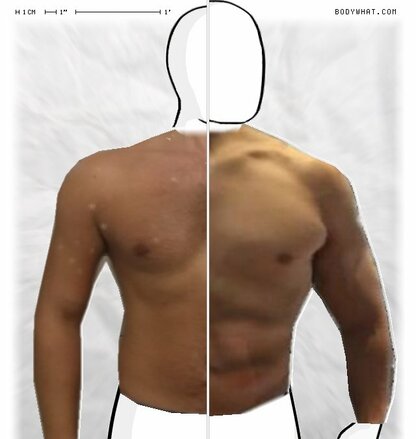 Torso Comparison