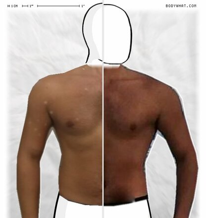 Torso Comparison