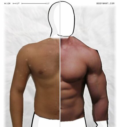 Torso Comparison