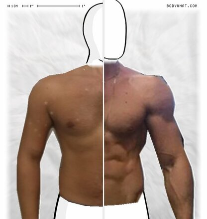 Torso Comparison