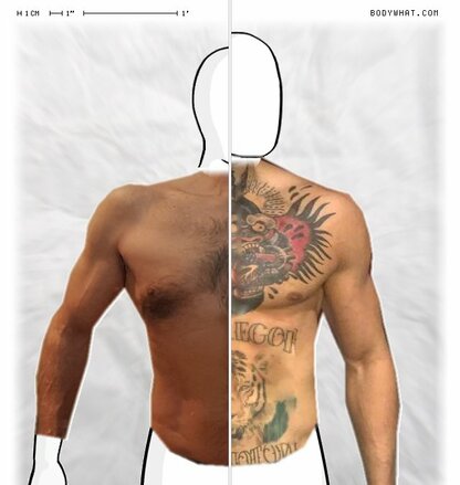 Torso Comparison