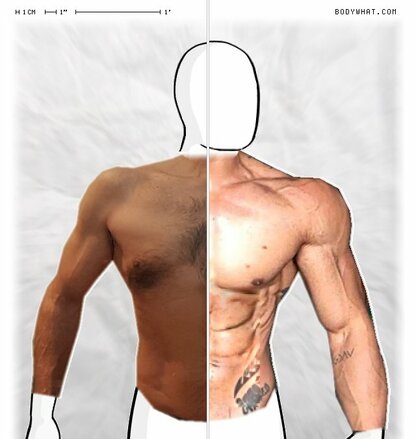 Torso Comparison