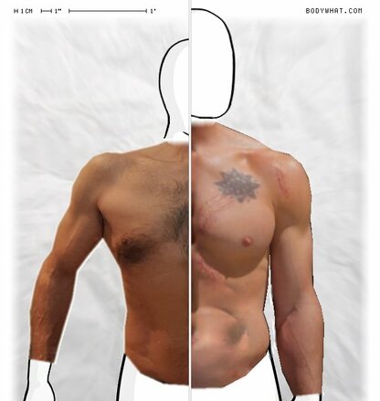 Torso Comparison