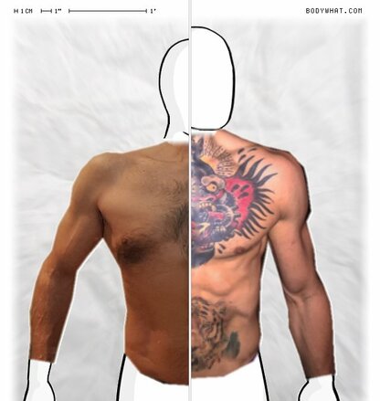 Torso Comparison