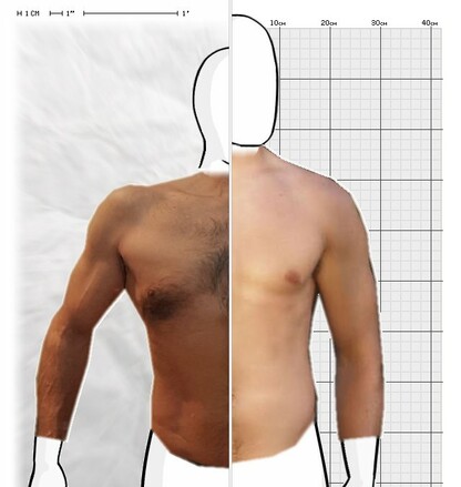 Torso Comparison