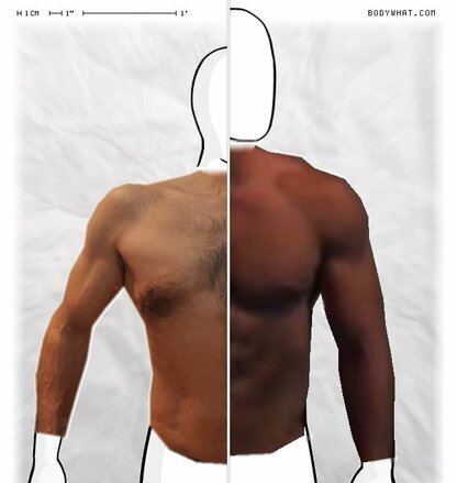 Torso Comparison