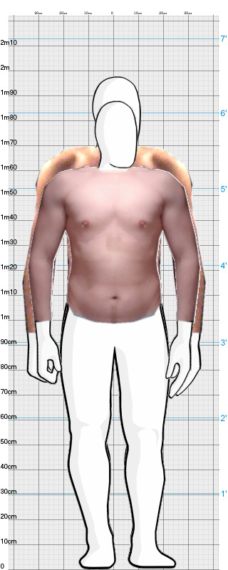 Full Size Comparison