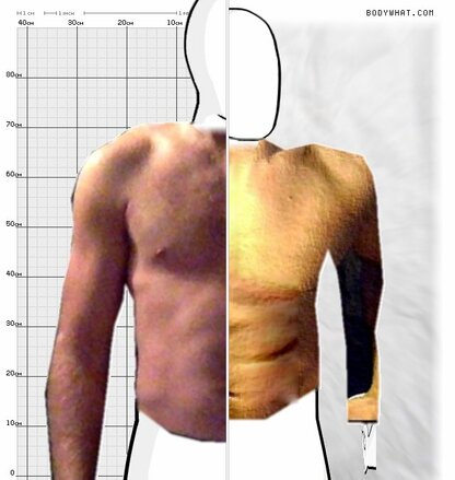 Torso Comparison