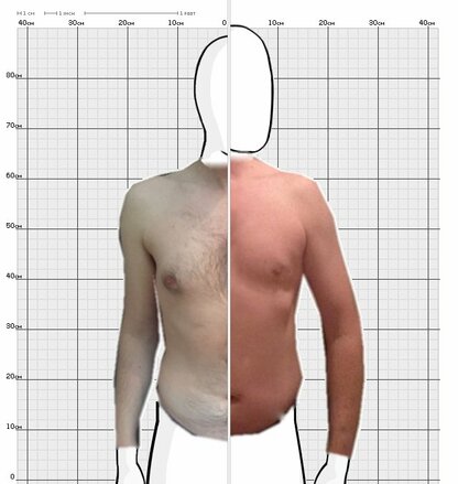 Torso Comparison