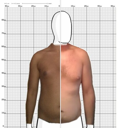 Torso Comparison