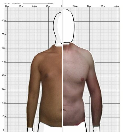 Torso Comparison