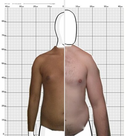 Torso Comparison