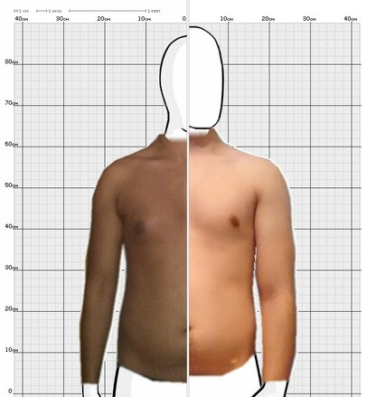 Torso Comparison