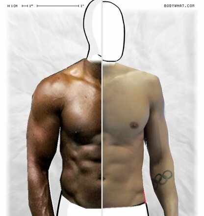 Torso Comparison