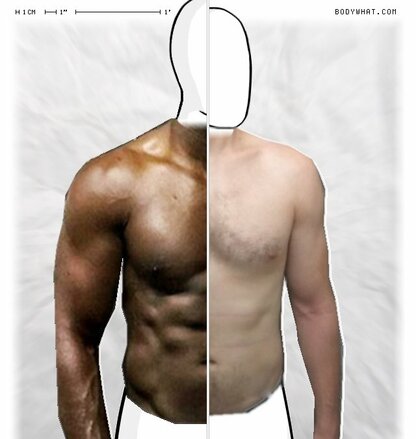 Torso Comparison