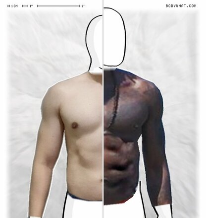 Torso Comparison