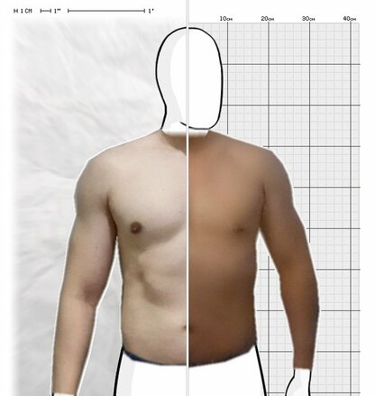 Torso Comparison