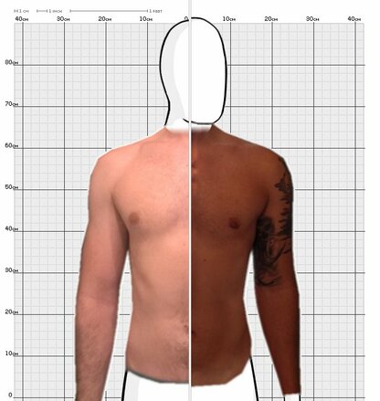 Torso Comparison