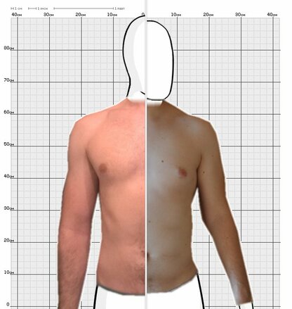 Torso Comparison