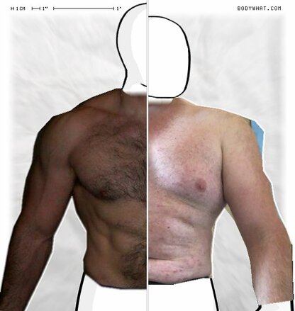 Torso Comparison