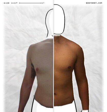 Torso Comparison