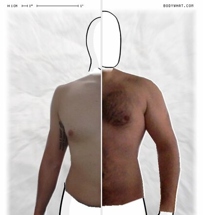 Torso Comparison