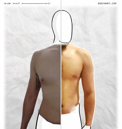 Torso Comparison