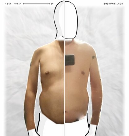 Torso Comparison