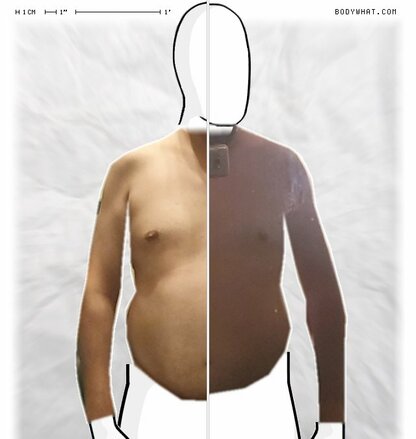 Torso Comparison