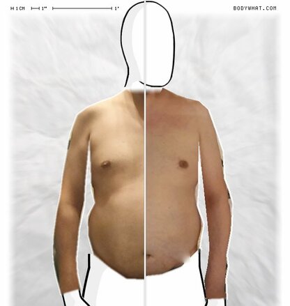 Torso Comparison