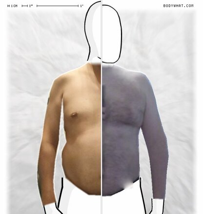 Torso Comparison