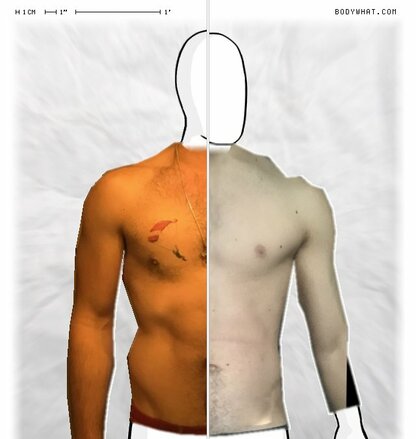 Torso Comparison