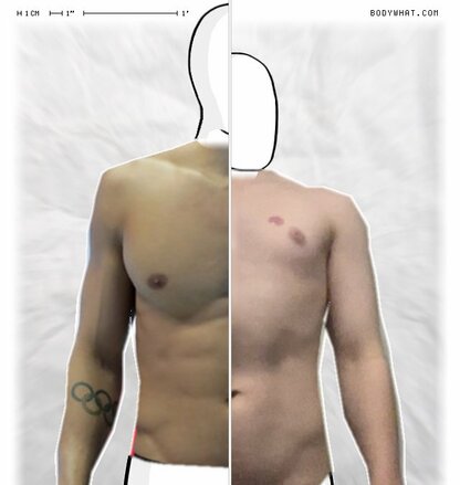 Torso Comparison