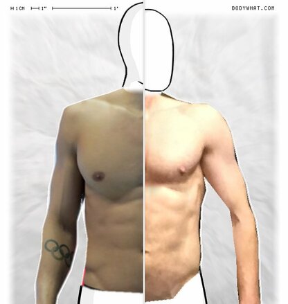 Torso Comparison