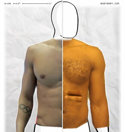 Torso Comparison