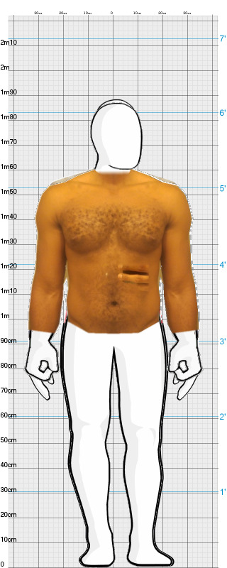 Full Size Comparison