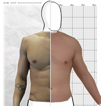 Torso Comparison