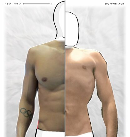 Torso Comparison