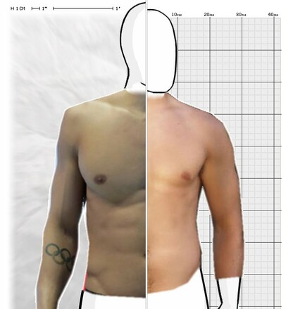 Torso Comparison