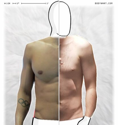 Torso Comparison