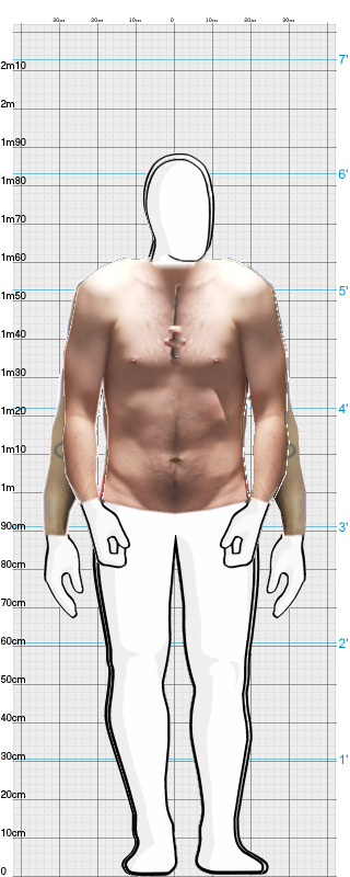 Full Size Comparison