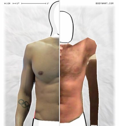 Torso Comparison