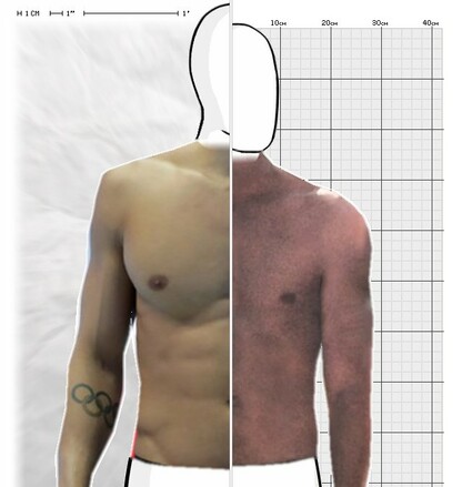 Torso Comparison